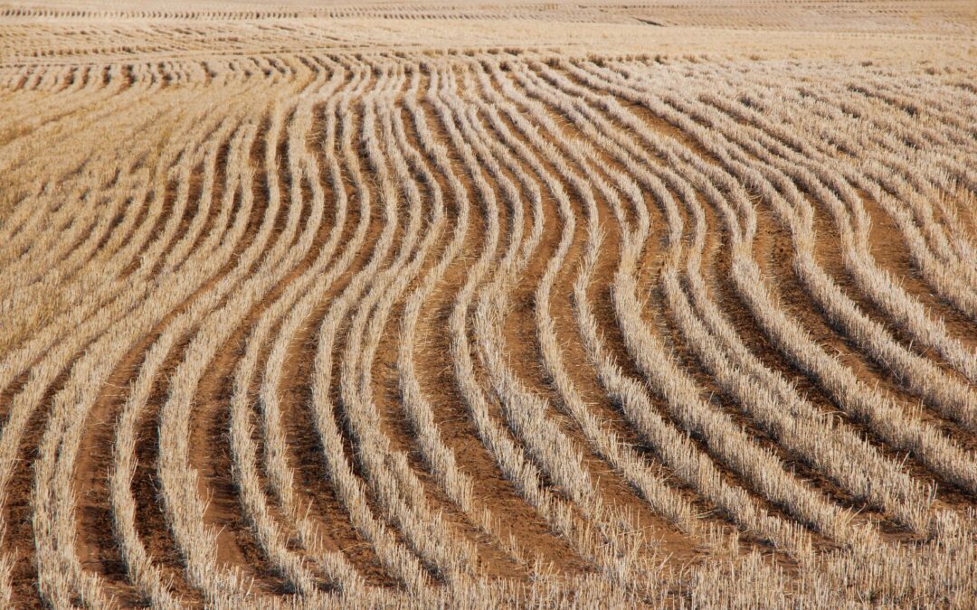 Navigating complexity